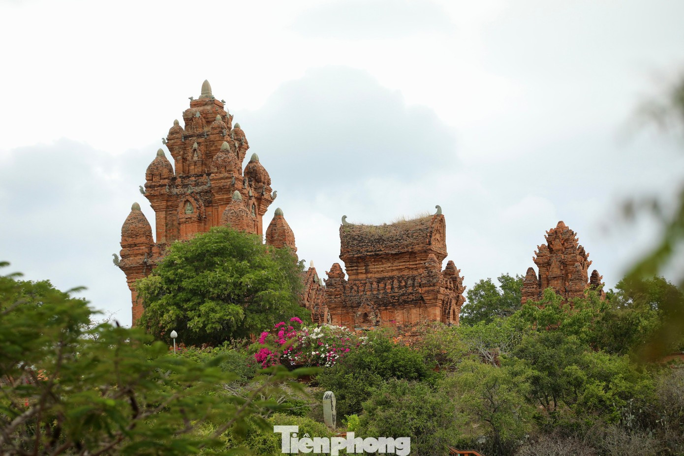 Situé sur la colline de Trau, dans le quartier de Do Vinh (province de Khanh Hoa), le complexe a été édifié entre la fin du XIIIᵉ et le début du XIVᵉ siècle pour honorer le roi Po Klong Garai, connu pour ses contributions au développement de l’irrigation et de l’agriculture dans l’ancien royaume du Champa.