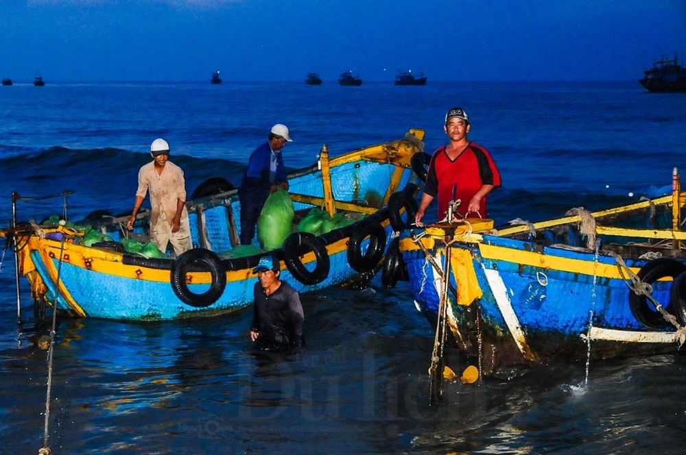 Au fil des générations, la pêche à Phuoc Hai est devenue un métier traditionnel, transmis de père en fils, de siècle en siècle. 2.jpg