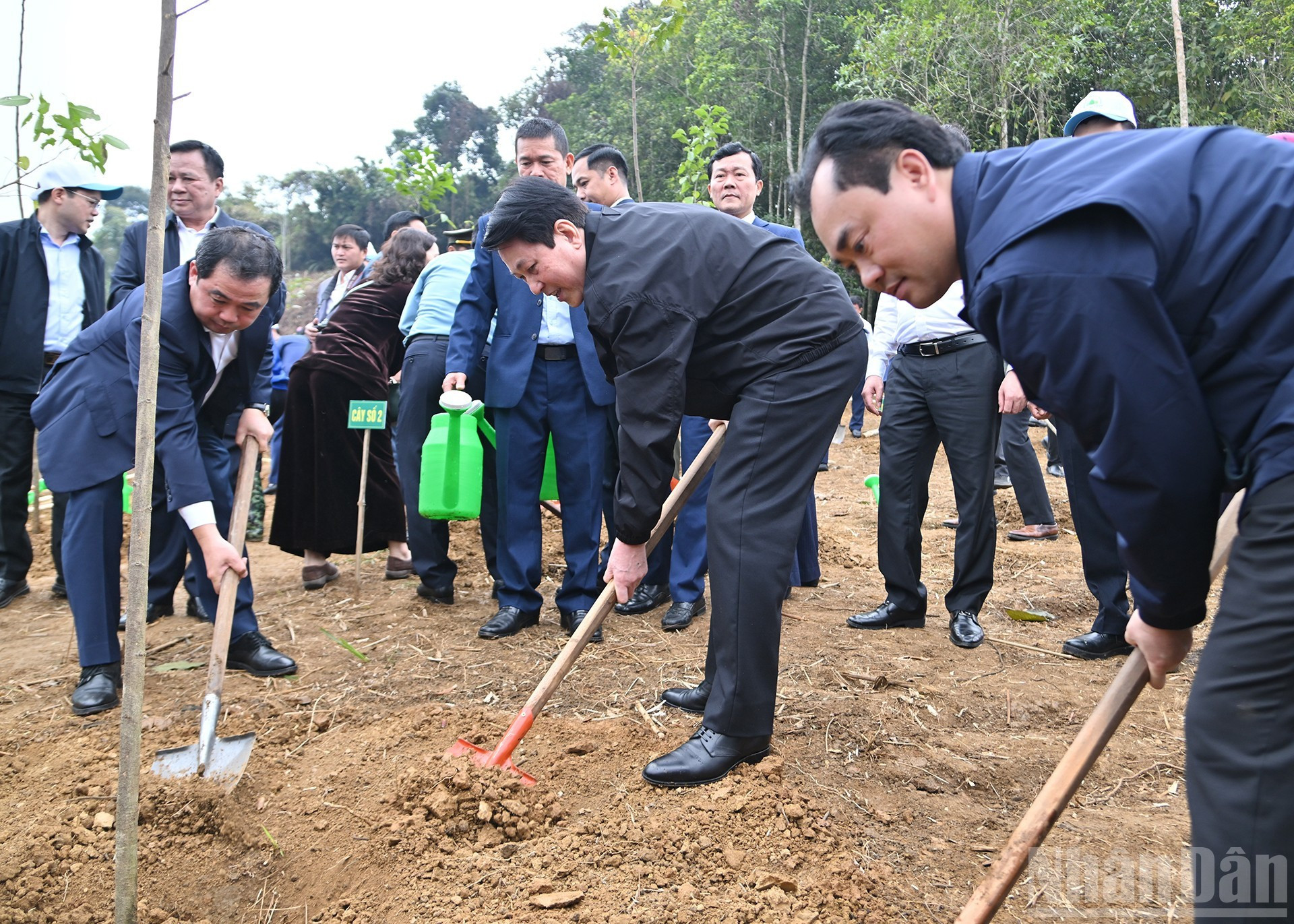 Le Président Luong Cuong et les délégués participent à la plantation d’arbres.