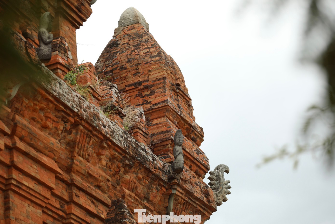 Les sculptures, motifs décoratifs et statues ornant les tours illustrent l’esthétique raffinée de l’architecture cham ancienne, tout en reflétant la vie religieuse de la communauté à travers les siècles.