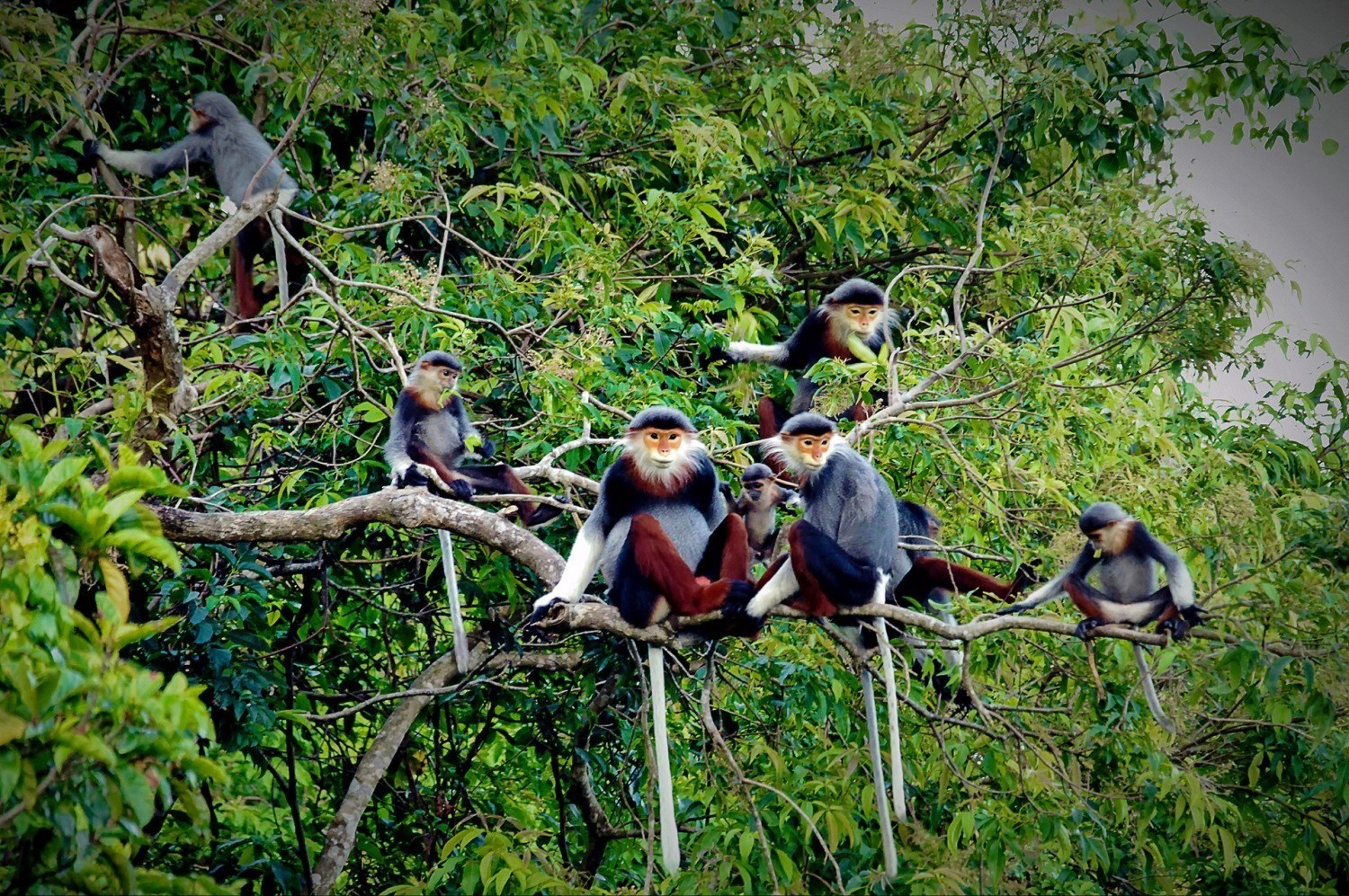 La préservation de la nature, clé du développement économique vert et durable. Photo : https://tainguyenmoitruong.gov.vn/ a-8176.jpg