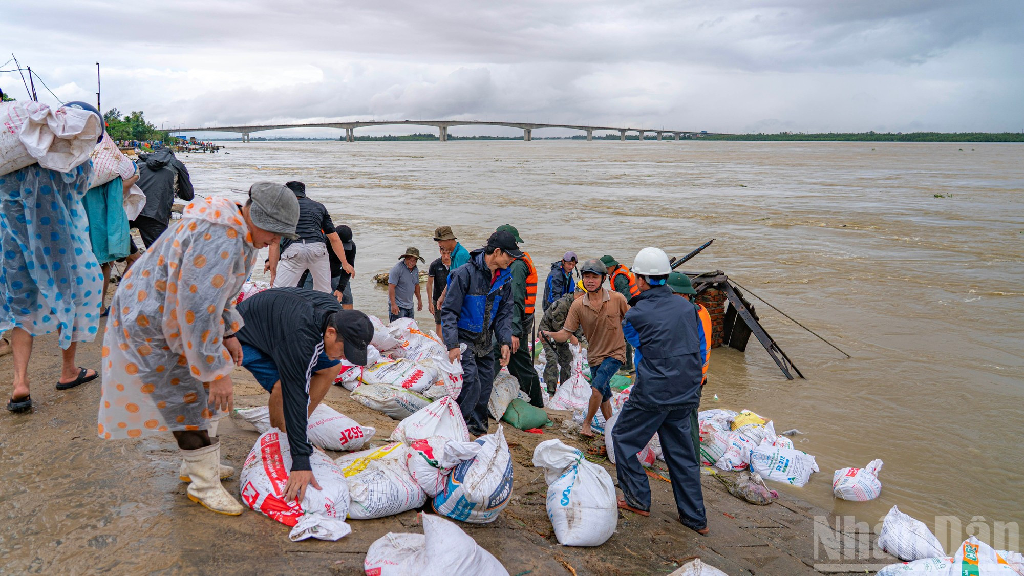 Tous les moyens sont déployés pour consolider les berges gravement érodées. 8.jpg