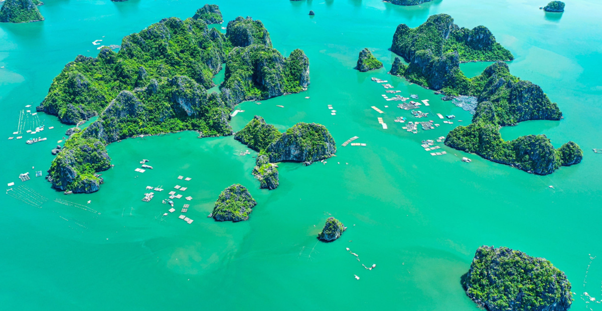 Entre les îles, des villages de pêche traditionnels et des fermes aquacoles. 9.png