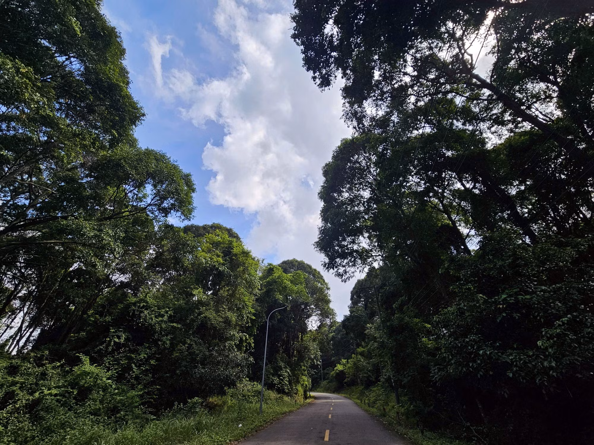 Une trouée de ciel au-dessus de la verdure de Xuan Son.