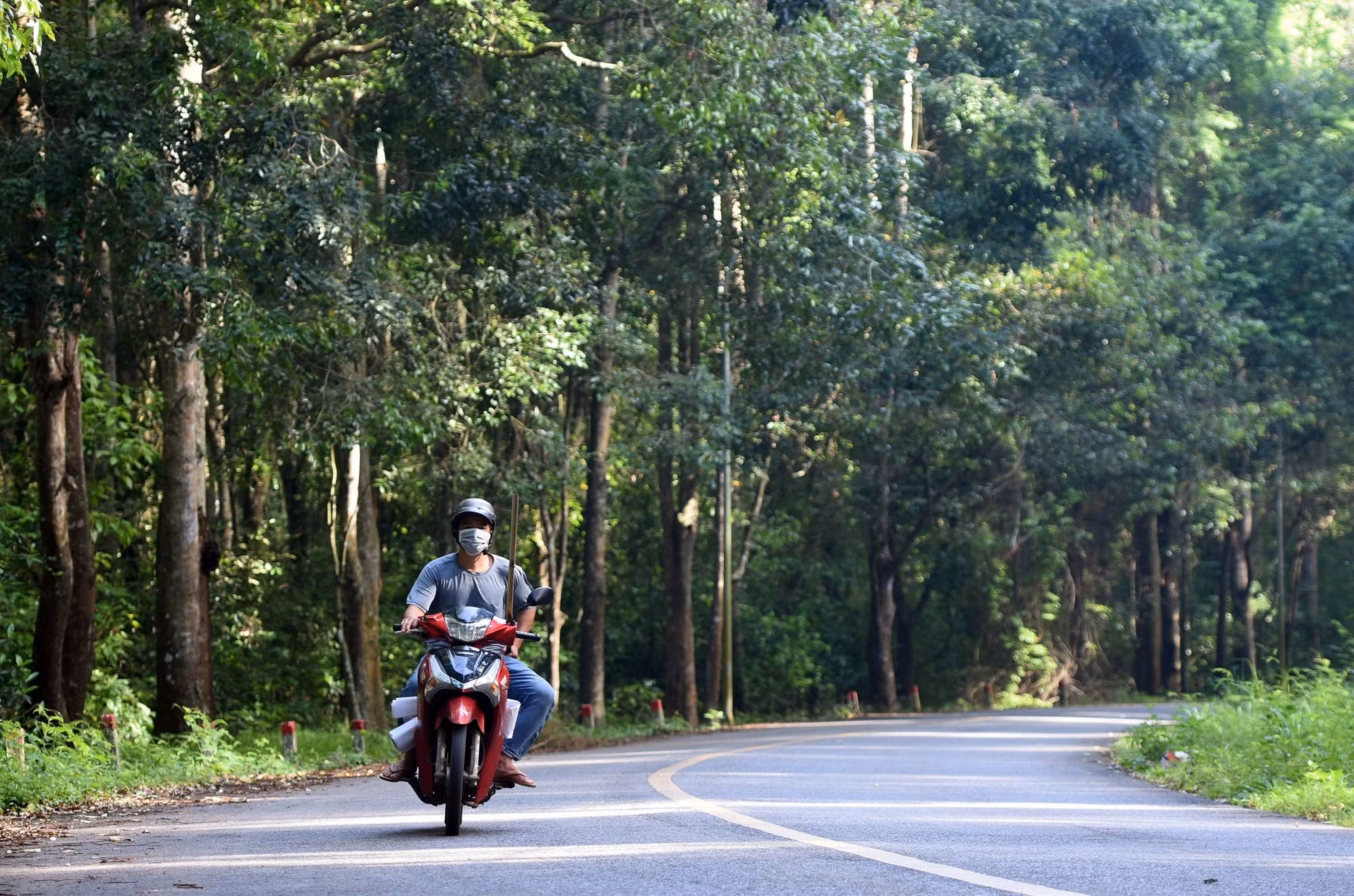 Un motocycliste traverse la forêt de Xuan Son.
