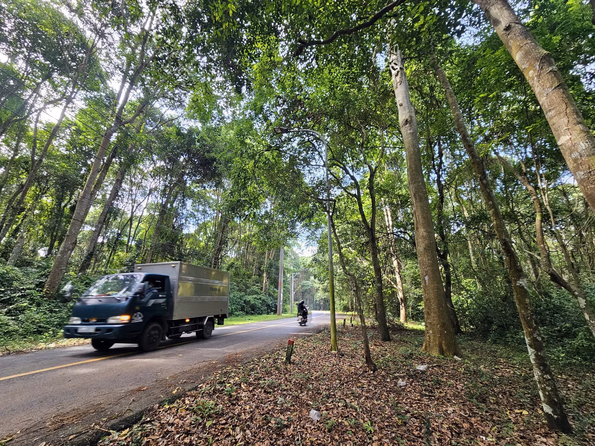 Des véhicules circulent sur la route Xuan Son-Da Bac, à l’ombre des arbres de la forêt.
