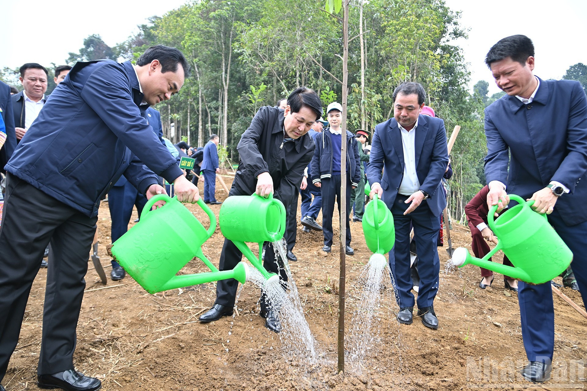Le Président Luong Cuong et les délégués participent à la plantation d’arbres.