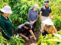 Un technicien du programme Nescafé Plan guide des agriculteurs dans les travaux de restauration des sols au sein d’une plantation de café, l’un des trois piliers fondamentaux du modèle d’agriculture régénératrice. Photo : NDEL.