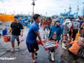 À quelques kilomètres seulement du centre-ville de Phan Rang-Thap Cham, le port de My Tan est non seulement un important centre halieutique de l'ancienne province de Ninh Thuan, aujourd'hui rattachée à Khanh Hoa, mais aussi le reflet vivant du quotidien des communautés maritimes, imprégné de l'esprit de la mer. Photo : Vietnamplus.