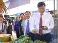 Vo Phan Thanh Minh, secrétaire du Comité du Parti du quartier de My Ngai, accompagné de délégués et d'habitants, en visite des stands des produits agricoles dotés de codes QR pour la traçabilité. Photo : NDEL.