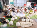 Le métier traditionnel de fabrication de chapeaux coniques de Xuân Lôc, dans le district de Triêu Son (province de Thanh Hoa), se transmet de génération en génération. Photo : VNA.