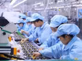 La main-d’œuvre jeune et férue de technologies au Vietnam crée un environnement propice au développement de secteurs tels que les services numériques, la fintech, le commerce électronique et la logistique intelligente. Photo : VOV