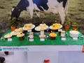 Produits laitiers européens d'Irlande. Photo : cafe.vn