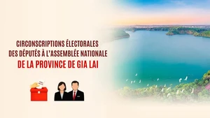 [Infographie] Circonscriptions électorales des députés à l’Assemblée nationale dans la province de Gia Lai
