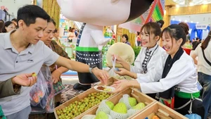 Présentation des produits emblématiques des régions à la Foire du Printemps 2026. Photo : VNA.