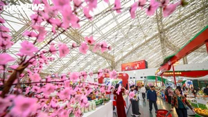 La Foire du Printemps 2026 a attiré 32.300 visiteurs en deux jours. Photo : VNA.
