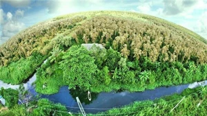 La télédétection au service du suivi et de la vérification des crédits carbone forestiers au Vietnam. Photo : Département de la télédétection nationale.