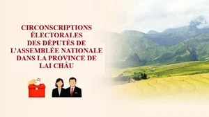[Infographie] Circonscriptions électorales des députés de l’Assemblée nationale dans la province de Lai Chau