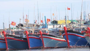 Carénage des bateaux avant le Têt, l’espoir d’une nouvelle saison