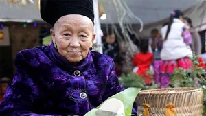 Le banh giay du Têt H’Mong, une tradition vivante