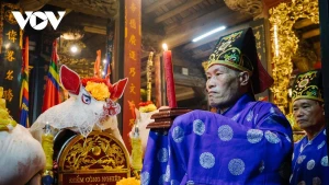 Hanoï : le porc sacrificiel au cœur d’un rituel séculaire à La Phu