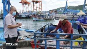 Les forces compétentes supervisent l'acheminement des bateaux au port. Photo : VNA.