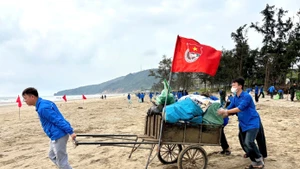 La jeunesse de Nghe An assainit les plages et l’environnement