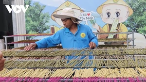 À Tay Ninh, le Têt s’anime au rythme des villages de métiers