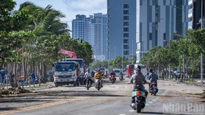 Da Nang : des centaines de personnes nettoient la route touristique Hoang Sa après le typhon