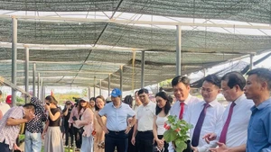 L’agritourisme, une diversification florissante pour les agriculteurs de Tich Giang