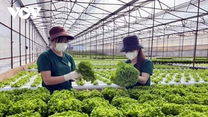 Durcissement des normes vertes : le Vietnam doit accélérer l’économie circulaire