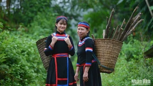 Femmes Thuy dans la province de Tuyen Quang. Photo : Nhân Dân.