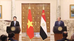 Le président vietnamien Luong Cuong (à gauche) et son homologue égyptien Abdel Fattah El-Sisi lors de la conférence de presse tenue après leur entretien. Photo : VNA.