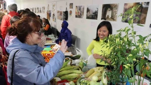Les visiteurs découvrent les fruits et légumes tropicaux au stand vietnamien. Photo : VNA.