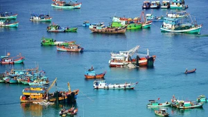 Les exportateurs vietnamiens de produits aquatiques aux côtés du gouvernement pour préserver leur réputation et leurs marchés internationaux. Photo : NDEL.