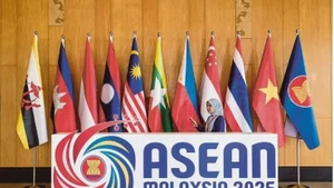 La Malaisie accueillera la 36e réunion des hauts fonctionnaires de l'ASEAN sur l'environnement (ASOEN-36). Photo : newswav.com.