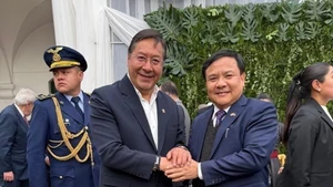 L'ambassadeur Bui Van Nghi rencontre le président bolivien Luis Alberto Arce. Photo : VNA.