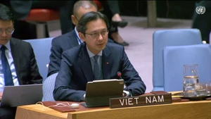 L’ambassadeur DôoHung Viet, chef de la Mission permanente du Vietnam auprès de l’ONU. Photo : VNA.