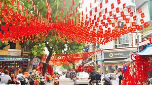 Les rues de Hanoï se parent de drapeaux et de décorations pour célébrer la Fête nationale. Photo : NDEL.