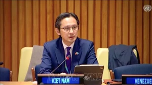 L’ambassadeur Do Hung Viet, chef de la Mission permanente du Vietnam auprès de l’ONU. Photo : VNA.