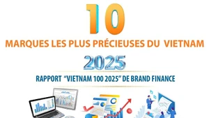 Top 10 des marques les plus précieuses du Vietnam en 2025