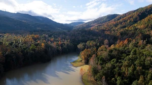 Un itinéraire de trekking au milieu des liquidambars rouges à Quang Tri