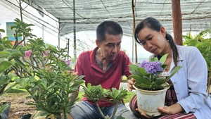 Le Hong Phuc et sa femme Vo Thi Loan, résidant dans le hameau de Tan Thien, commune de Tan Thanh Binh, province de Ben Tre, développent leur entreprise de production de pots ornementaux et de bonsaïs grâce à un crédit public. Photo : VNA.