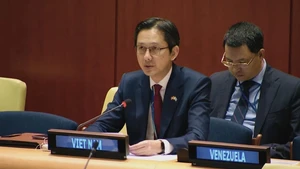 L’ambassadeur Do Hung Viet, représentant permanent du Vietnam auprès des Nations Unies, intervient lors d’un débat sur la paix en Afrique. Photo : VNA.