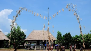 Le cay neu près de la maison Guol, symbole culturel de l’ethnie Co Tu. Photo : NDEL.