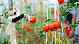 Réussir l’innovation au Vietnam : regards croisés d’experts vietnamiens en France