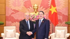 Le vice-président de l’Assemblée nationale Nguyen Duc Hai (droite) et le Dr Kambiz Ghawami, président de WUS et représentant autorisé du Land de Hesse. Photo : VNA.