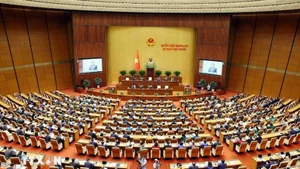 Une session de la XVe Assemblée nationale. Photo : VNA.