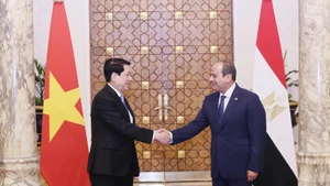 Le président vietnamien Luong Cuong (à gauche) et le président égyptien Abdel Fattah El-Sisi. Photo : VNA.