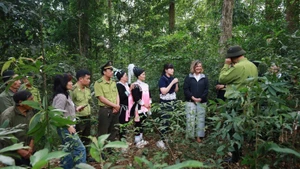Visite de travail sur la protection des forêts à Lai Chau. Photo : CARE au Vietnam.